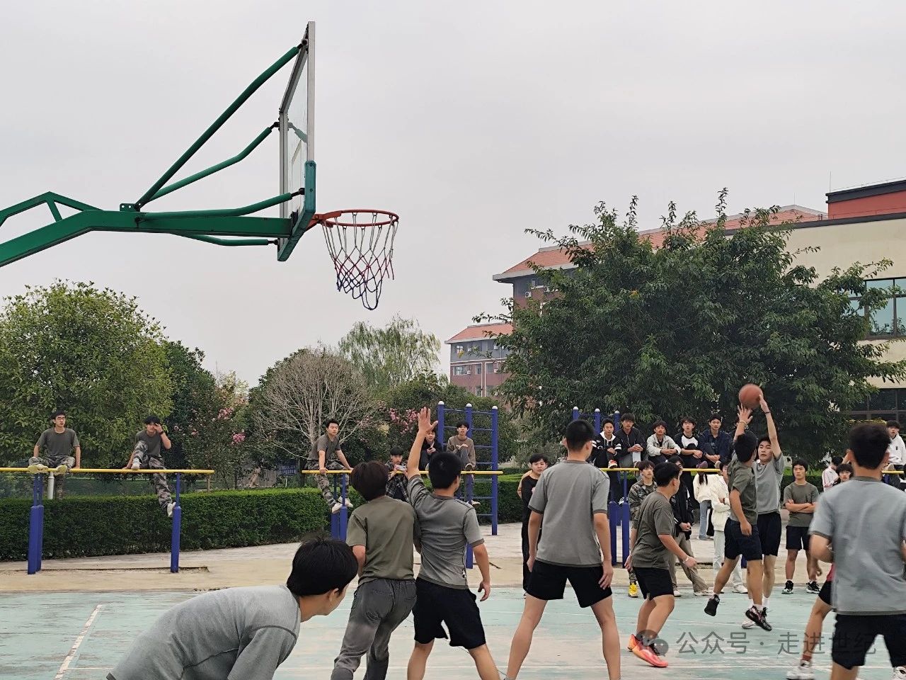 圖片